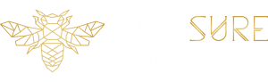 Bee Sure Financial